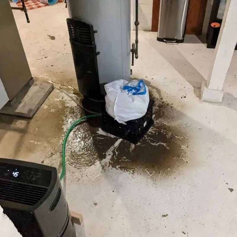 Sewage Backup Cleanup Service in Berkeley Springs, WV
